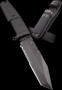 Fulcrum K9 b.jpg